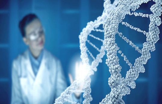 Открытие в области ДНК  - прорыв в лечении онкологии