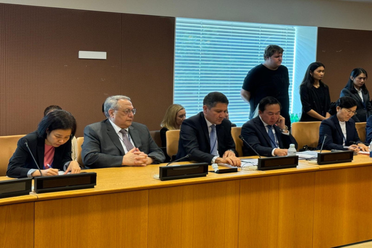 Азербайджан и Лаос объединились на форуме ООН для борьбы с минной угрозой-ФОТО 