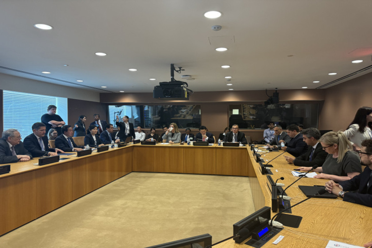 Азербайджан и Лаос объединились на форуме ООН для борьбы с минной угрозой-ФОТО 
