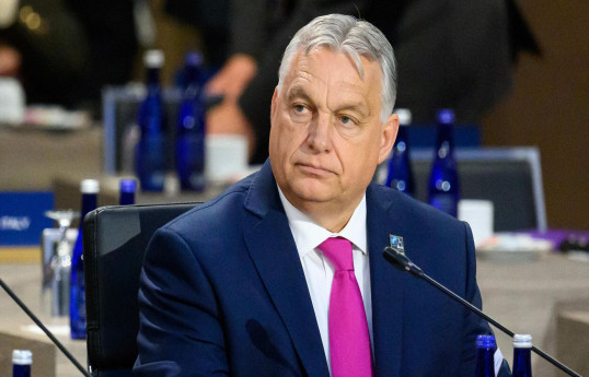 Виктор Орбан защищает суверенитет Грузии на фоне угроз ЕС