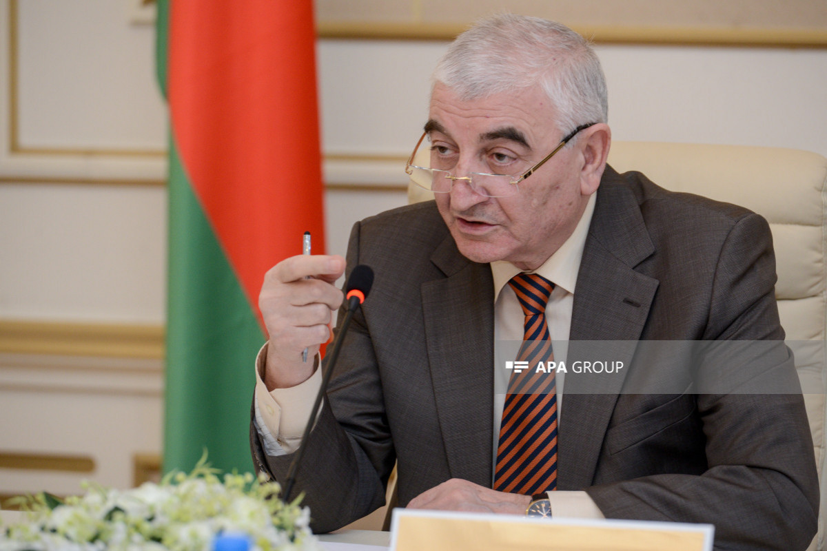 Выборы в Милли Меджлис: ЦИК Азербайджана зарегистрировал более 20 партии и 585 представителей