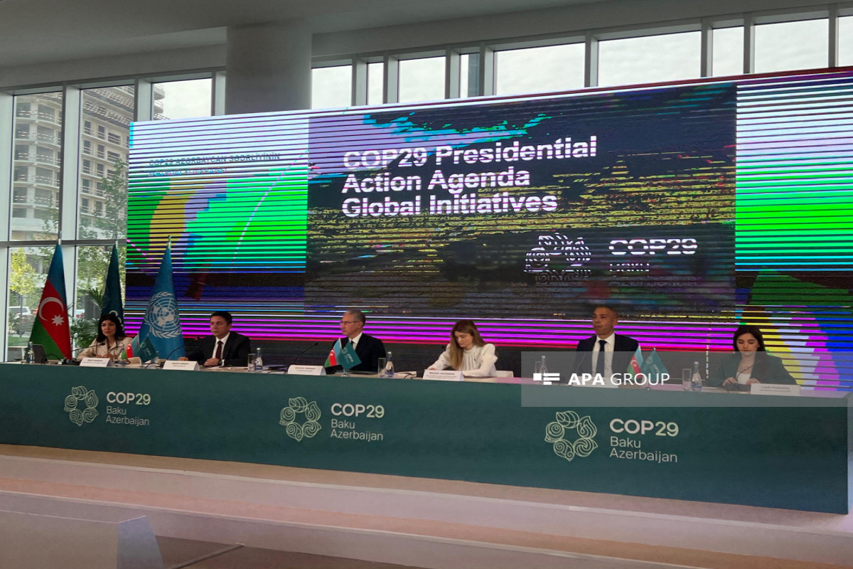 COP29: Будет обеспечено привлечение $1 млрд инвестиций в климатический фонд