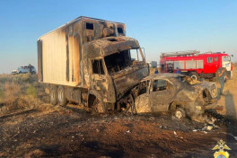 Пять человек погибли в огненном ДТП с грузовиком в России