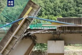 В Китае при обрушении моста погибли 11 человек-ВИДЕО 