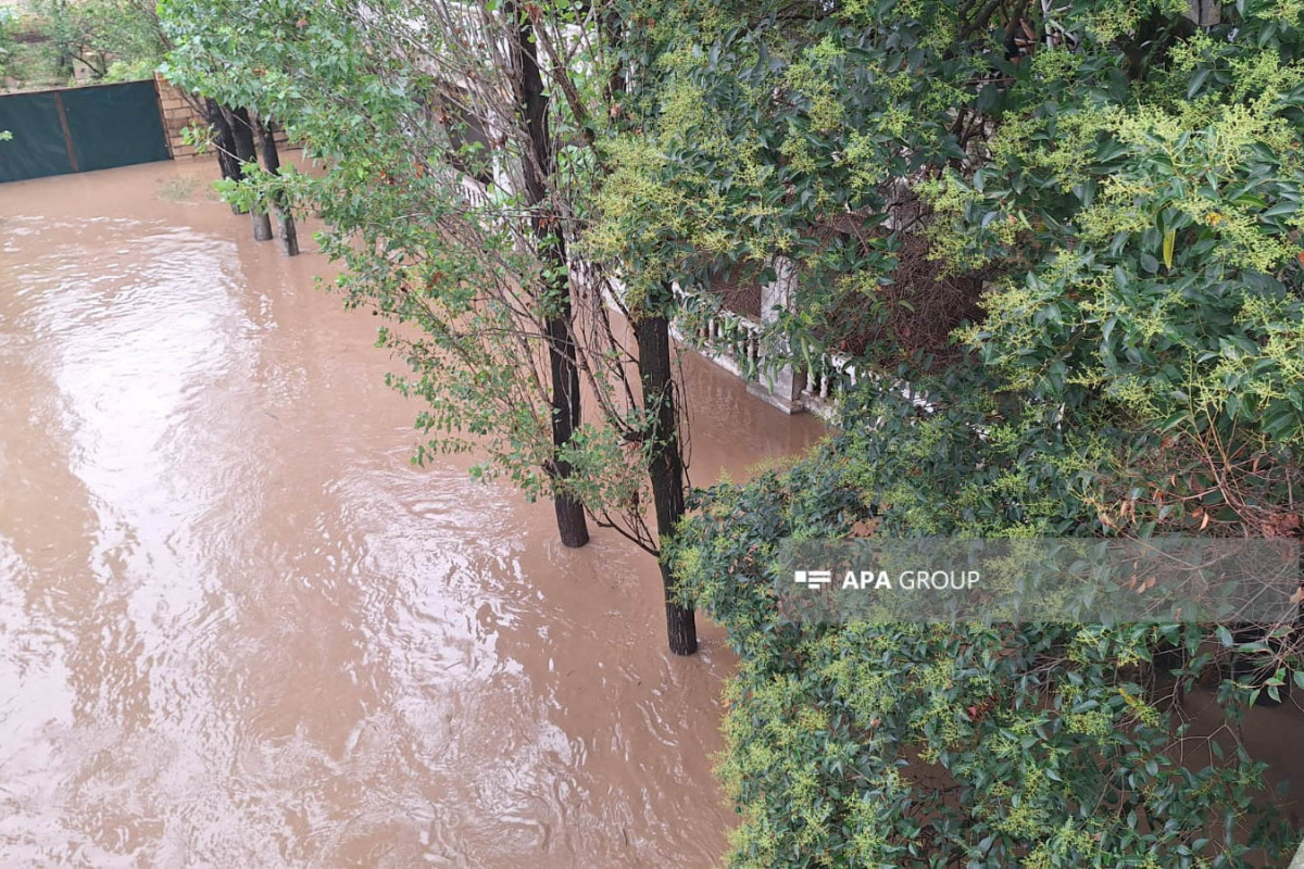 После проливных дождей в Лянкяране разлилась река Лянкяранчай, вода затопила дома -ФОТО 