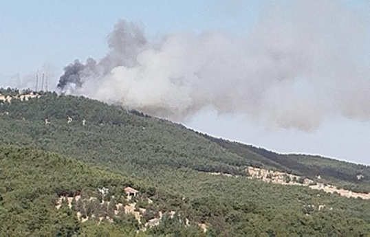 В Турции вспыхнул лесной пожар
