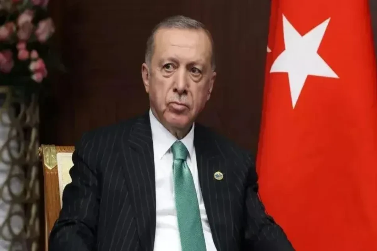 Эрдоган заявил о возможности ввода войск в Израиль