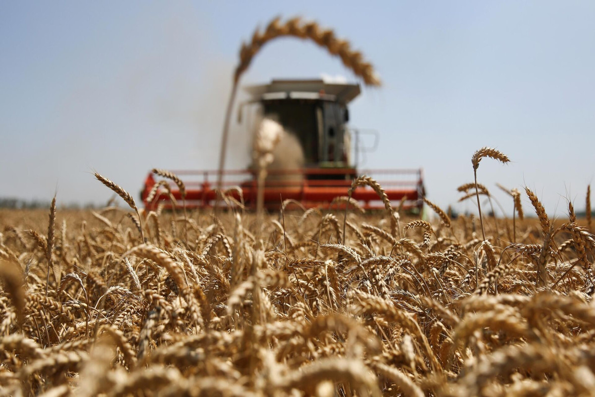 В Грузии закончилась пшеница