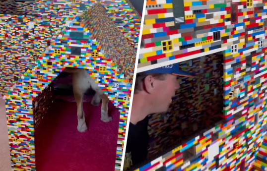 Американка сделала для своих собак будку из конструктора Lego