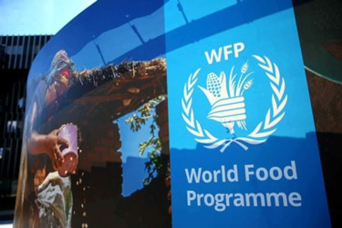 Россию исключили из участия во Всемирной продовольственной программе ООН