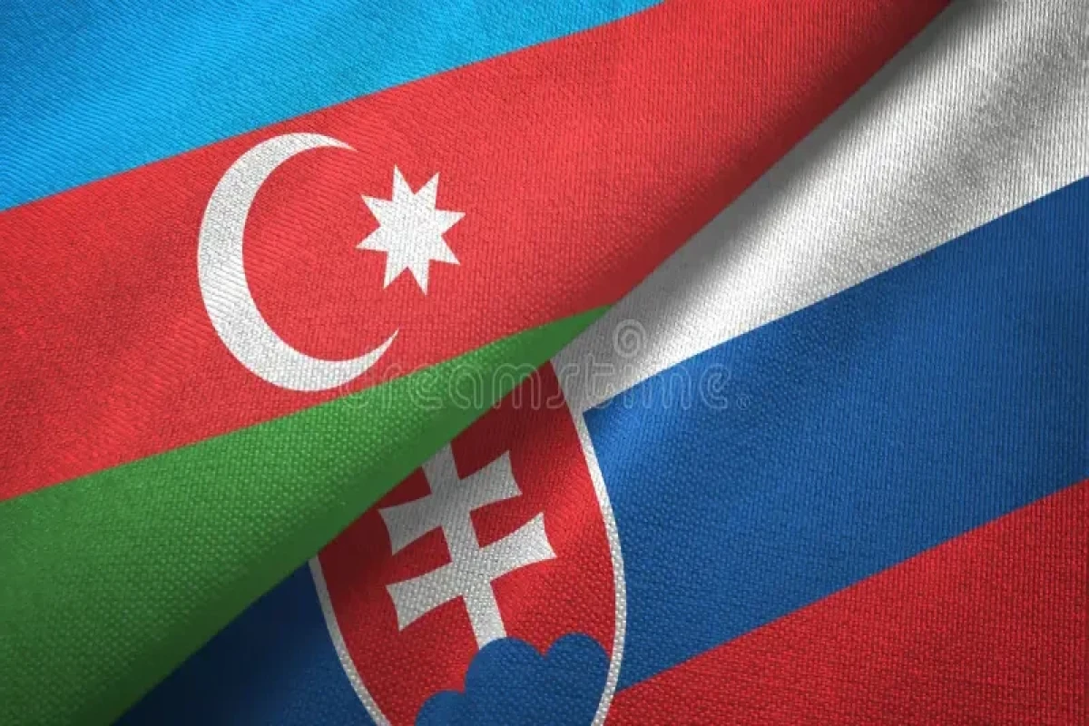 Азербайджан и Словакия будут сотрудничать в сфере обороны