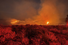 Более 1200 человек эвакуированы из-за лесного пожара в Калифорнии