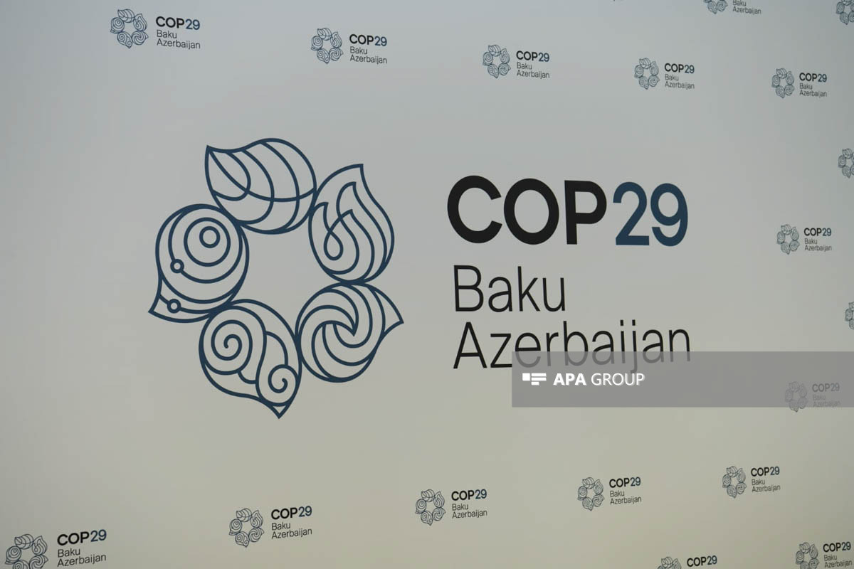 В Баку проходит заседание на тему "Путь к COP29: Надежное и устойчивое будущее"