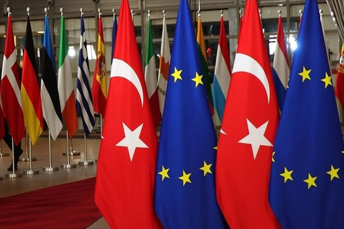 В Совете Европы приняли две антитурецкие резолюции