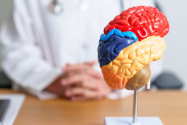 Ученые нашли в человеческом мозге центр выживания