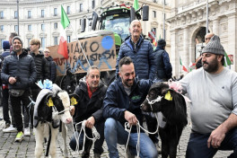 В Риме в поддержку фермеров на улицу вышли несколько сотен человек