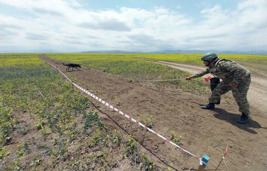 Необходимо оказать давление на Армению, чтобы она предоставила точные карты минных полей - Омбудсмен 