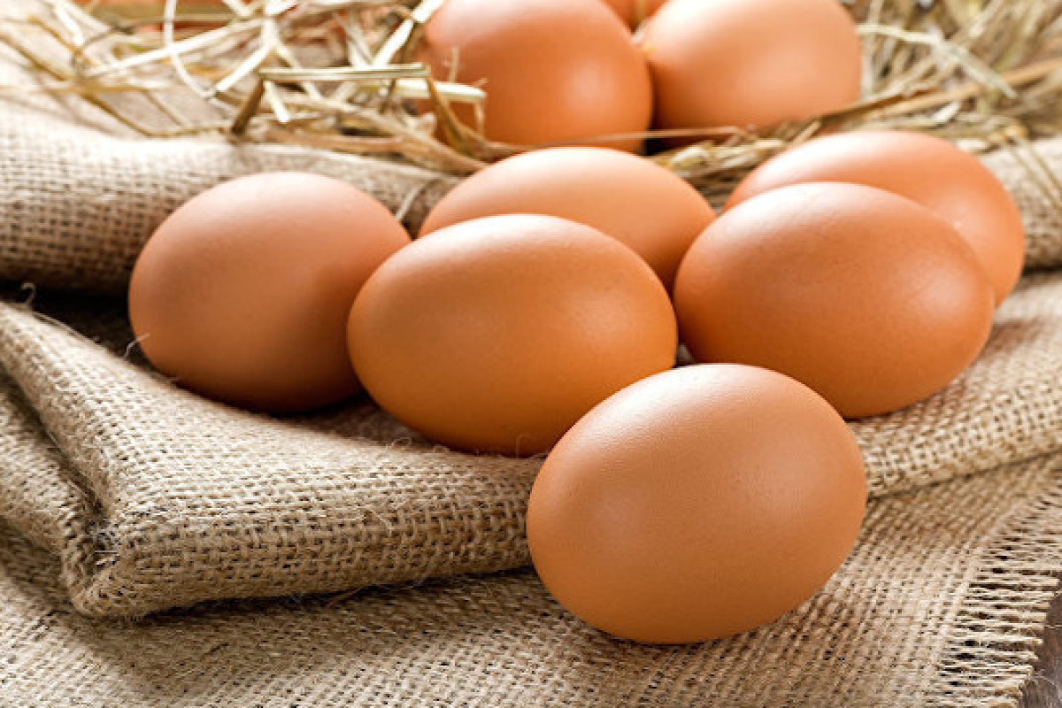 Азербайджан и Турция в общей сложности ввезли в Россию около 29 млн яиц