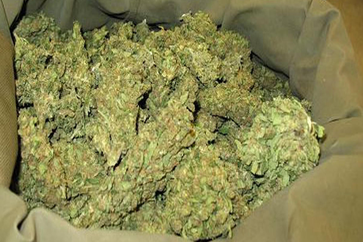 В Баку в подвале дома обнаружено более 8 кг марихуаны
