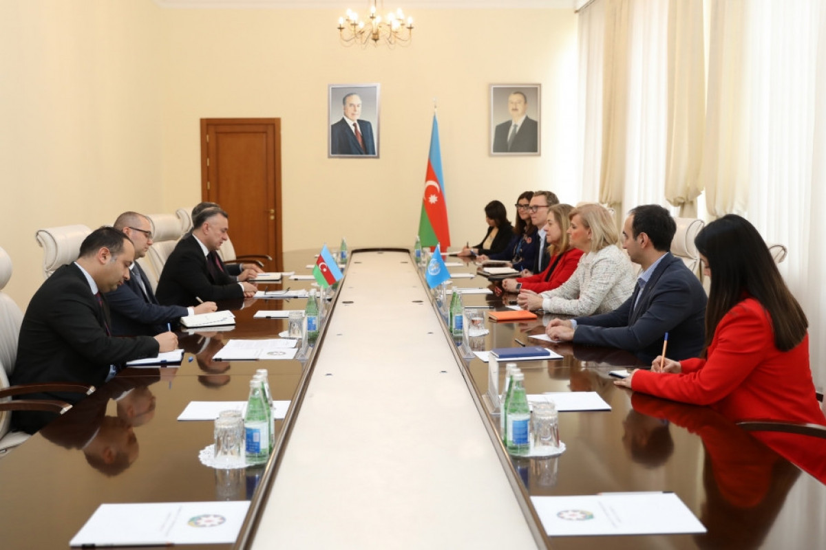 В Минздраве Азербайджана состоялась встреча с представителями ВОЗ из переговорной группы COP29