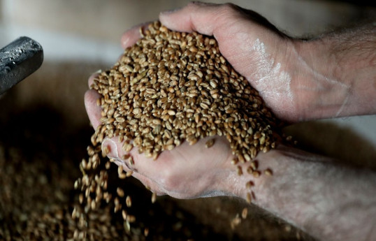 ЕС готовится ввести пошлины на импорт зерна из РФ и Беларуси