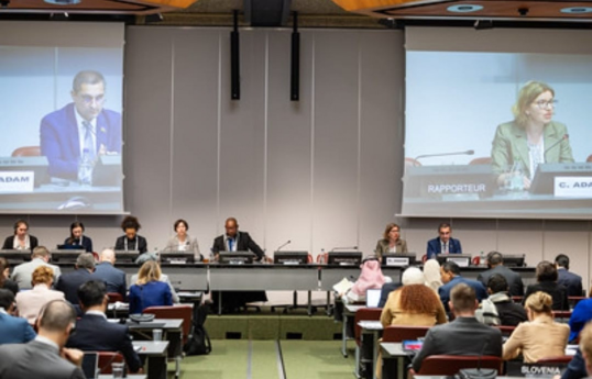 Депутат Милли Меджлиса рассказал о COP29 на заседании комитета Межпарламентского союза