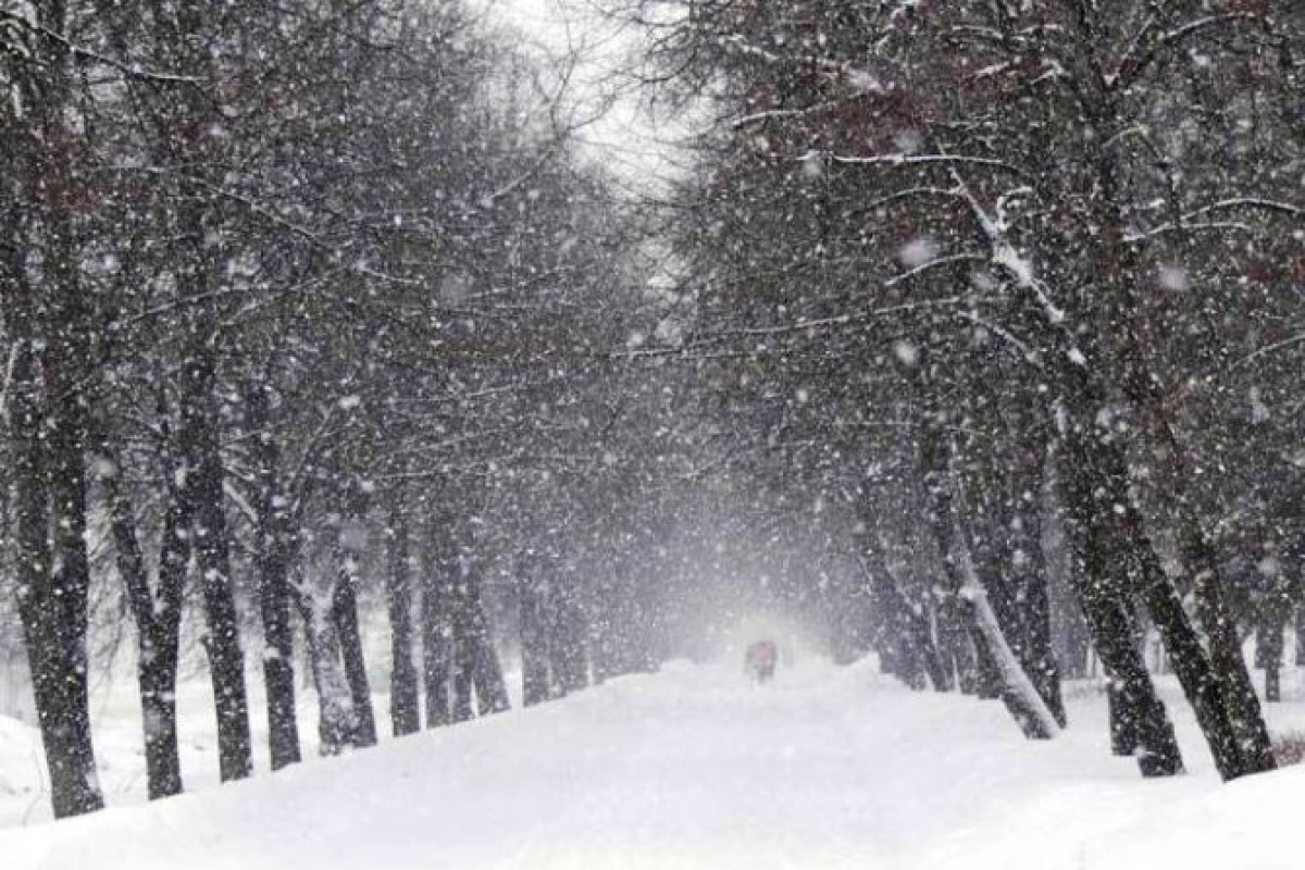 В ряде регионов Азербайджана выпал снег - ПРОГНОЗ ПОГОДЫ 