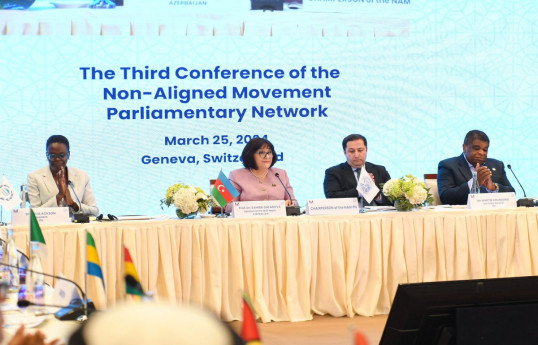 На III конференции парламентской сети ДН была предоставлена информация о COP29-ФОТО 