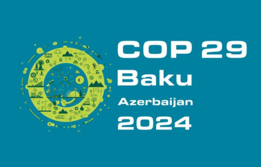 Участники COP29 получат специальную визу в Азербайджан
