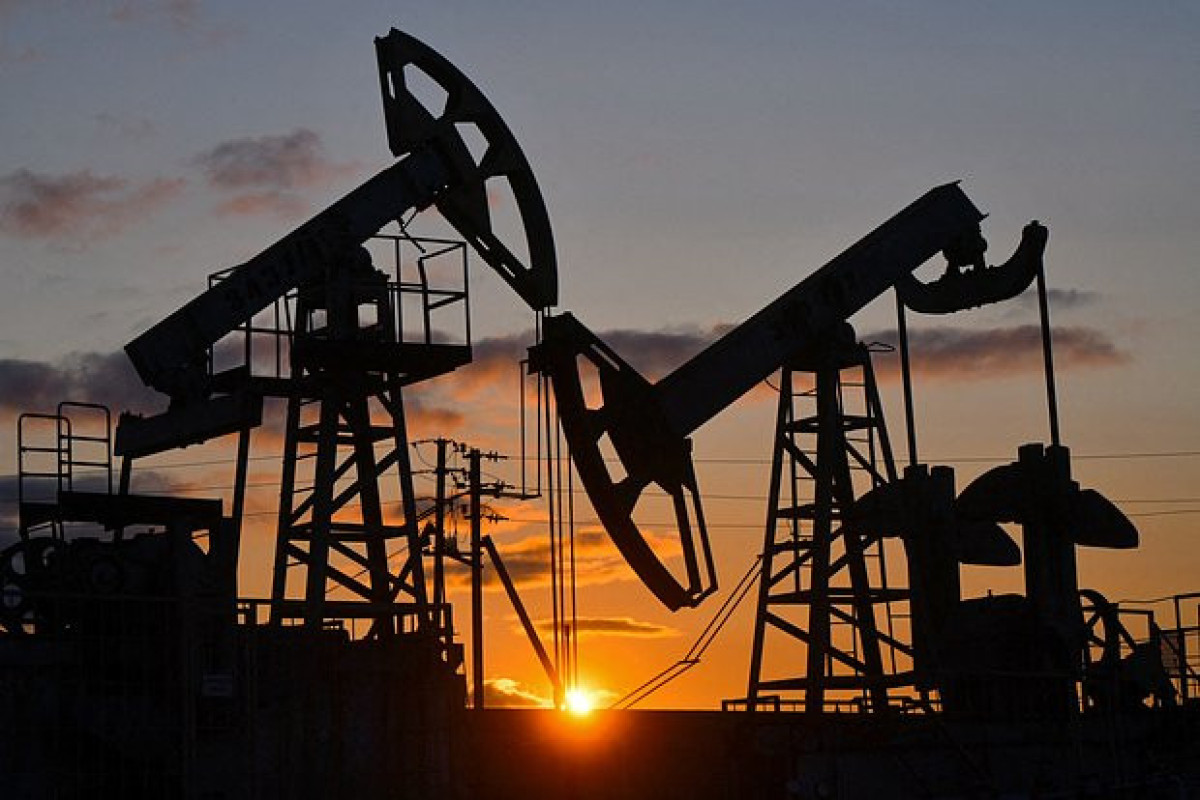 Индия рекордно увеличила закупку российской нефти