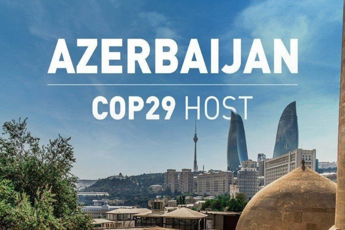 COP29 запустил веб-сайт