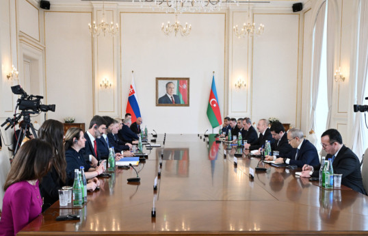 Президент Азербайджана и премьер-министр Словакии провели встречу в расширенном составе