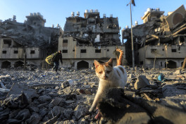 Минздрав Газы: Число жертв превысило 34,9 тысяч
