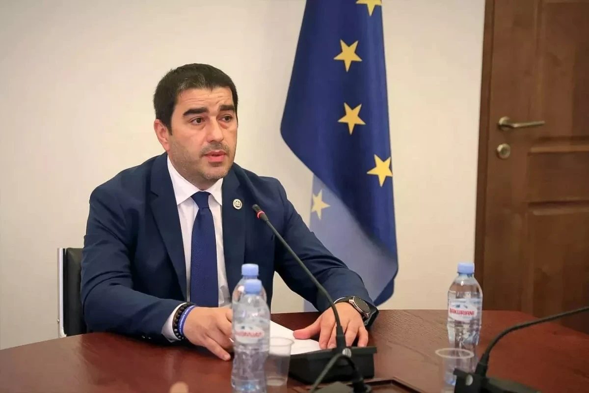Спикер парламента Грузии отказался от встречи с европейскими делегатами в Тбилиси