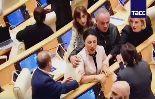 Грузинские парламентарии передрались во время заседания по закону об иноагентах-ВИДЕО 