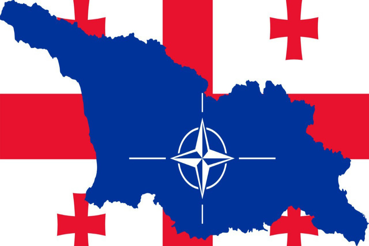 НАТО обратилось к правительству Грузии