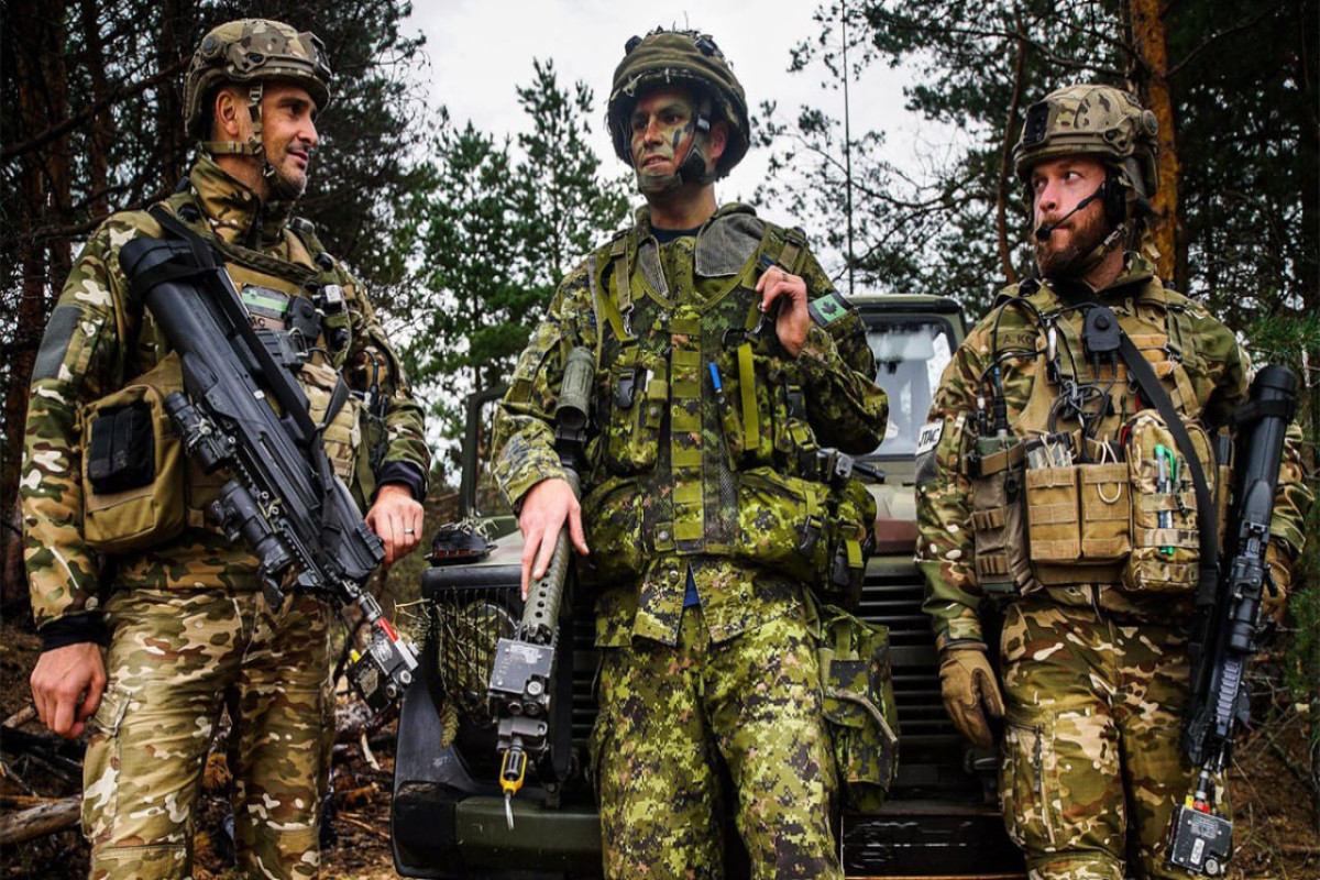 NYT: Отправка войск НАТО в Украину стала "неизбежной"