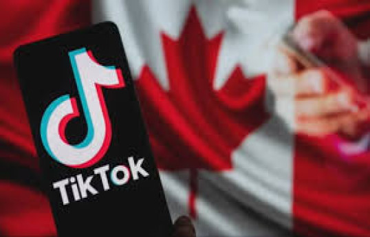 Канада ждет реакции TikTok на требования США