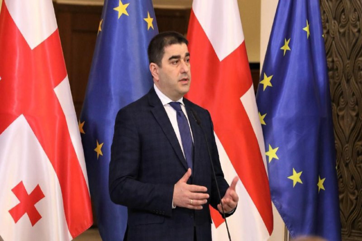 Папуашвили уверен, что парламент преодолеет вето Зурабишвили 