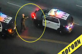 В Лос-Анджелесе машину полицейских угнали вместе с сотрудницей внутри