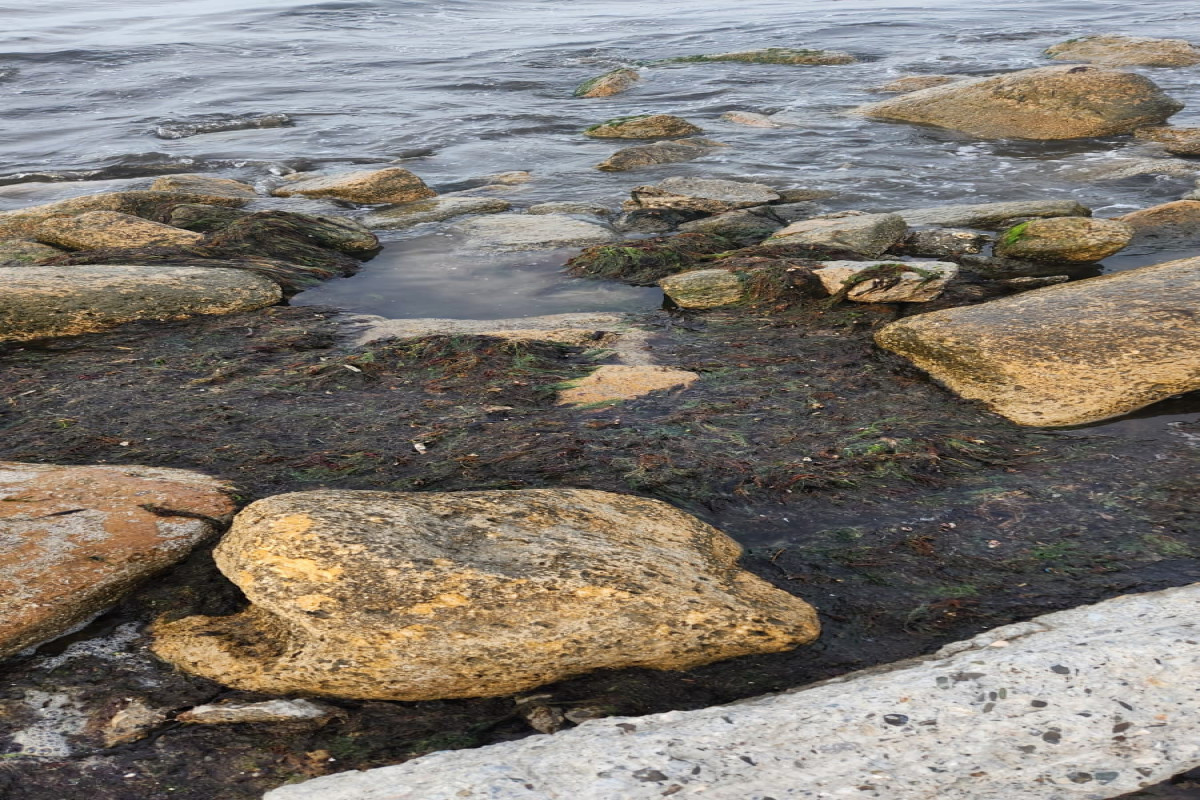 Сточные воды на берегу пляжа  «Дачник» не обнаружены, взяты пробы воды - Результаты мониторинга -ФОТО 