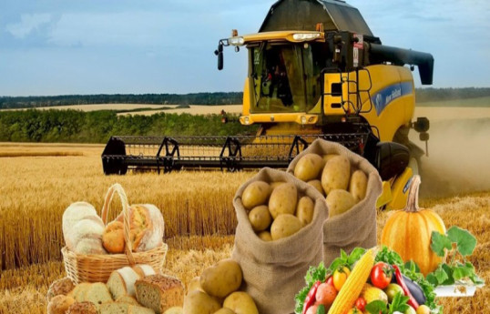 Сельхоз расходы в Азербайджане увеличатся на 100 млн манатов