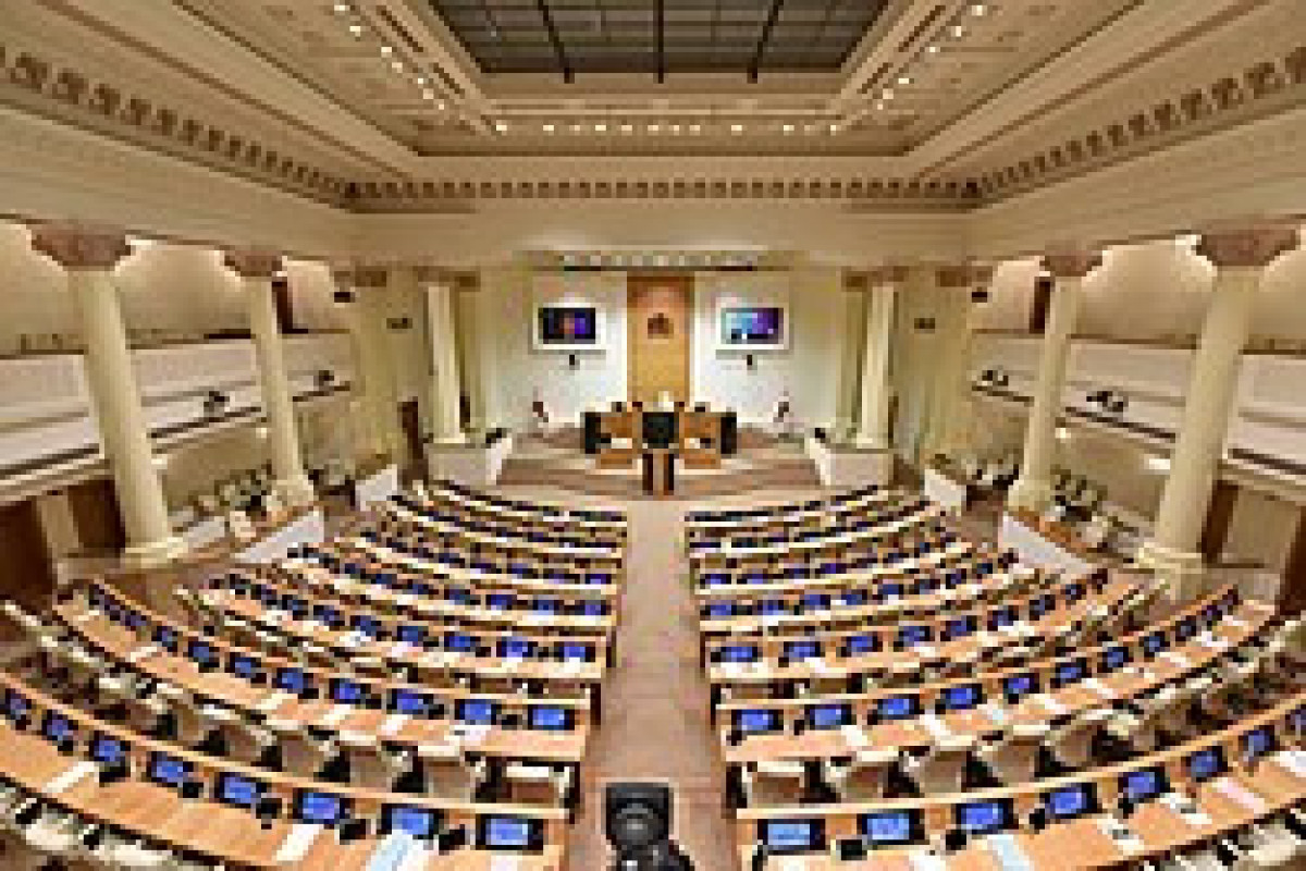 Парламент Грузии готовится преодолеть вето президента на резонансный законопроект