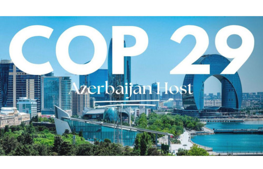 Армянские круги в ярости: COP29 в Баку обострил «комплексы неполноценности» Иревана- Аналитика 