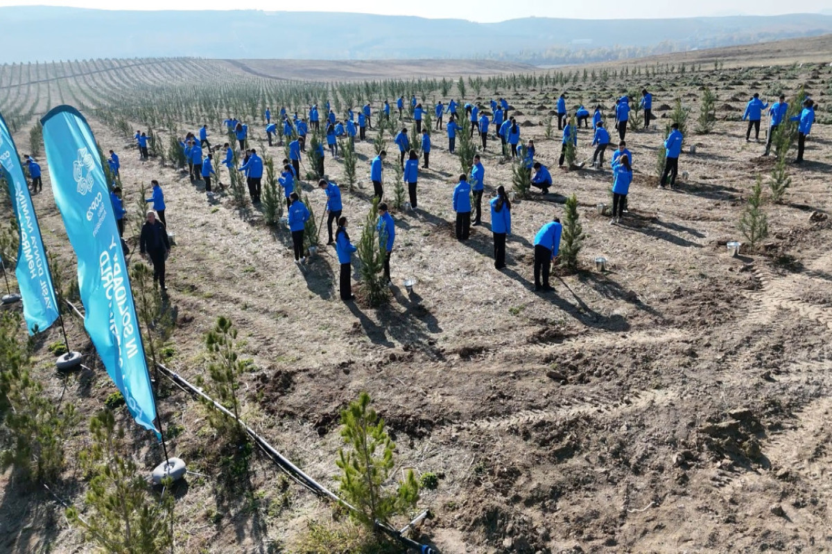 В рамках COP29 состоялась конференция с участием первых леди-ОБНОВЛЕНО -ФОТО 