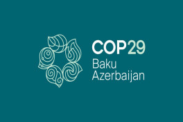 В рамках COP29 состоялась конференция с участием первых леди-ОБНОВЛЕНО 