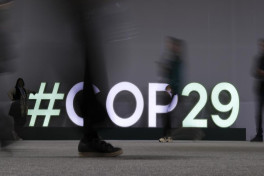 G20:  COP29 не должен завершиться без амбициозной финансовой цели