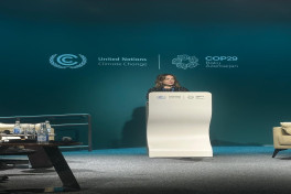 Нигяр Мамедова на COP29:  региональное сотрудничество — ключ к устойчивому будущему