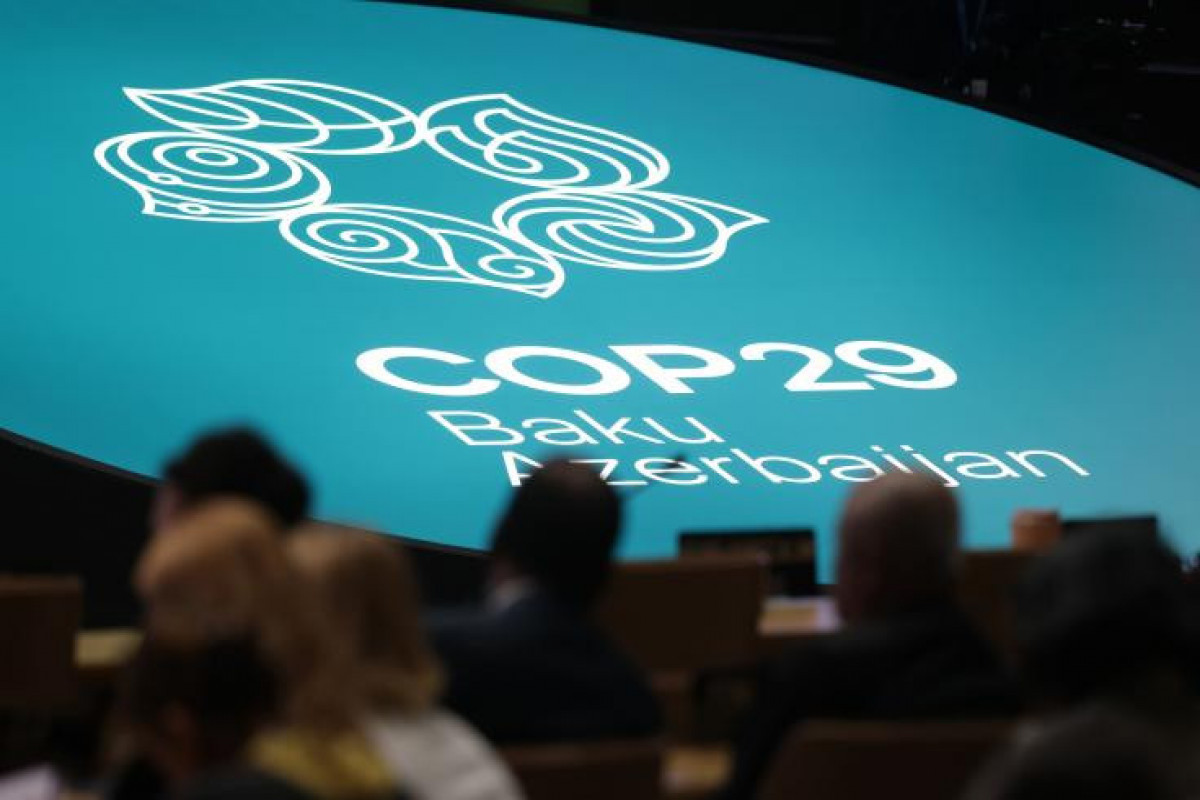 На COP29 принято решение о полном запуске Фонда «Ущерб и потери»