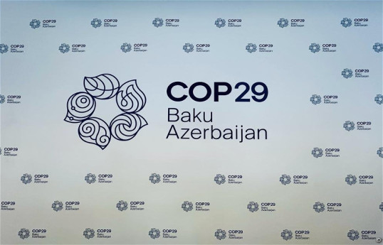 350 электробусов будут обслуживать COP29 в Баку